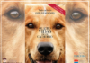 Resenha: Quatro Vidas de Um Cachorro - W. Bruce Cameron