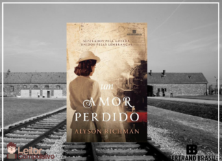 Resenha: Um Amor Perdido - Alyson Richman